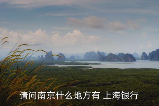 請問南京什么地方有 上海銀行
