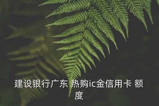 建設(shè)熱購卡金卡額度是多少,全球熱購卡銀聯(lián)金卡額度