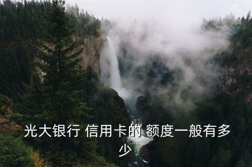 光大銀行陽(yáng)光商旅信用卡白金卡額度是多少