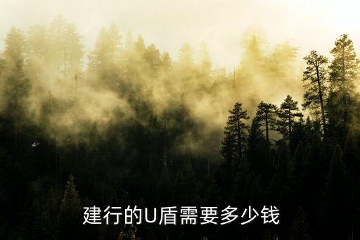  建行的U盾需要多少錢