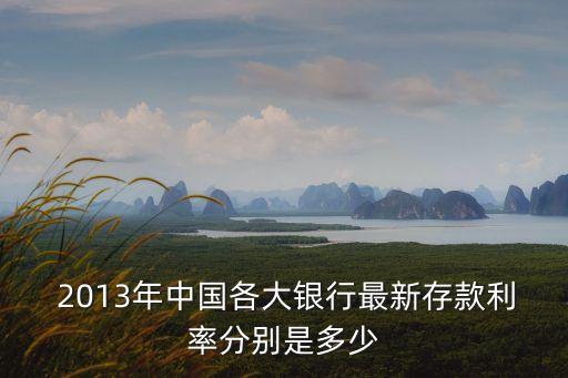  2013年中國各大銀行最新存款利率分別是多少