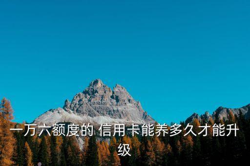 一萬(wàn)六額度的 信用卡能養(yǎng)多久才能升級(jí)