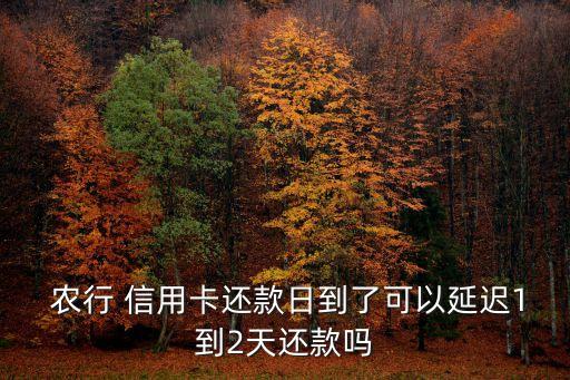  農(nóng)行 信用卡還款日到了可以延遲1到2天還款嗎