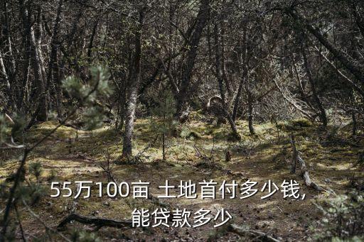 土地貸款能貸多少,黑龍江土地貸款可以貸多少