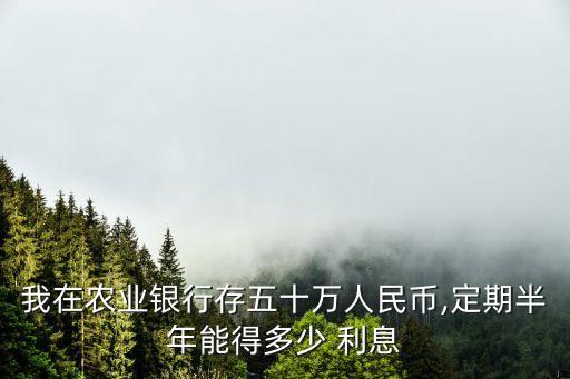 我在農(nóng)業(yè)銀行存五十萬(wàn)人民幣,定期半年能得多少 利息