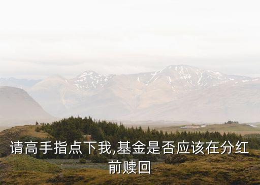請高手指點下我,基金是否應(yīng)該在分紅前贖回