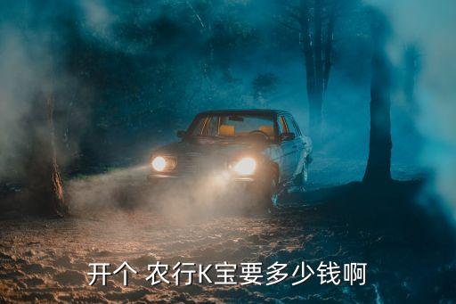 開個 農(nóng)行K寶要多少錢啊