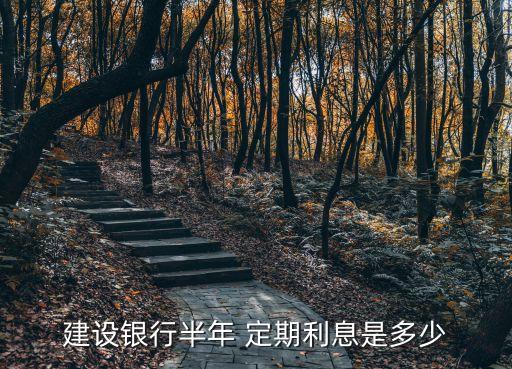 2004年在建行定期存款利率是多少,建行2022年12月定期存款利率