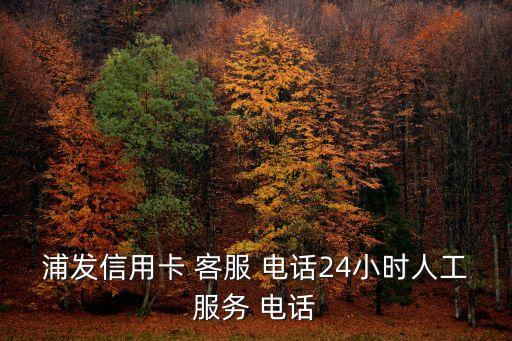 浦發(fā)信用卡 客服 電話24小時(shí)人工服務(wù) 電話