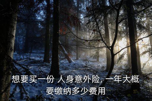 想要買一份 人身意外險, 一年大概要繳納多少費用