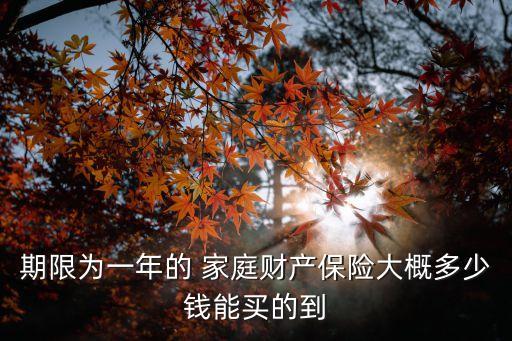期限為一年的 家庭財產(chǎn)保險大概多少錢能買的到