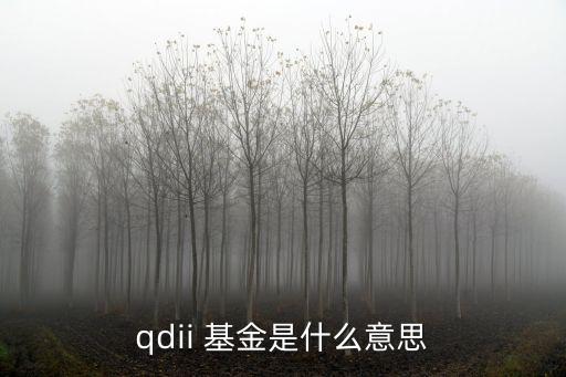 qdii 基金是什么意思