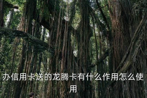 辦信用卡送的龍騰卡有什么作用怎么使用