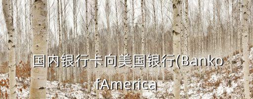  國內(nèi)銀行卡向美國銀行(BankofAmerica