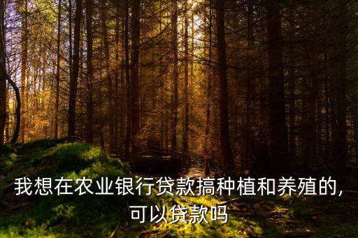 農(nóng)村發(fā)展養(yǎng)殖業(yè)能貨款多少,目前 農(nóng)村發(fā)展養(yǎng)殖業(yè)有什么好政策