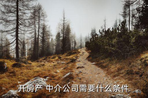 開(kāi)房產(chǎn) 中介公司需要什么條件