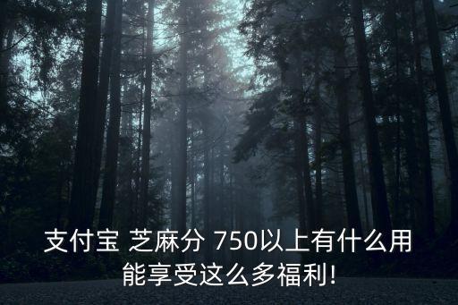 支付寶 芝麻分 750以上有什么用能享受這么多福利!