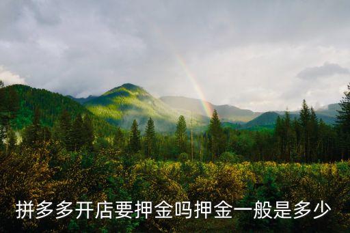 企業(yè)店鋪保障金多少,淘寶企業(yè)店鋪有保障嗎