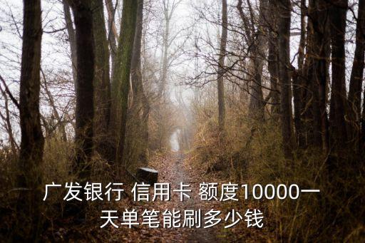 廣發(fā)銀行 信用卡 額度10000一天單筆能刷多少錢