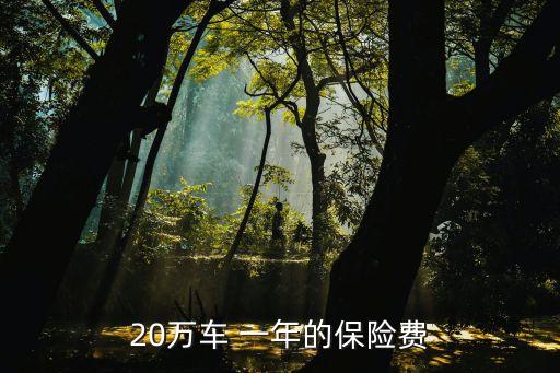 20萬左右車一年保險多少錢