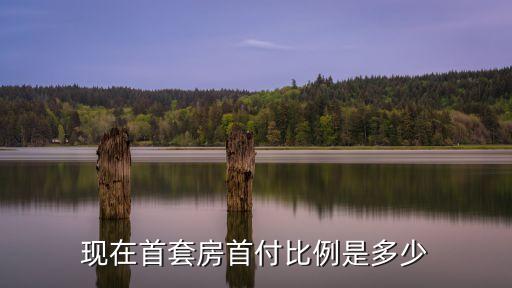 現(xiàn)在首套房首付比例是多少