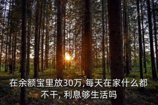多少利息夠生活費,美團生活費利息0.065