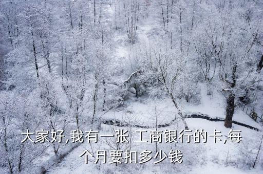 大家好,我有一張 工商銀行的卡,每個(gè)月要扣多少錢