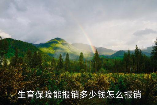  生育保險能報銷多少錢怎么報銷
