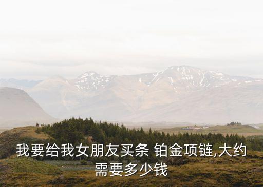 我要給我女朋友買條 鉑金項鏈,大約需要多少錢