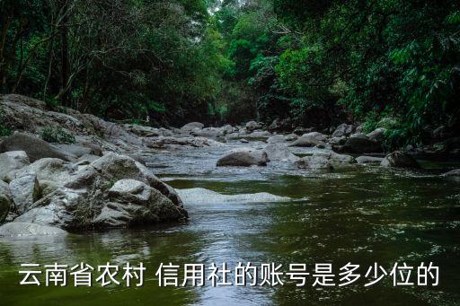 云南省農(nóng)村 信用社的賬號(hào)是多少位的