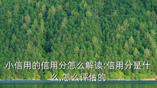 小信用的信用分怎么解讀:信用分是什么,怎么評(píng)估的