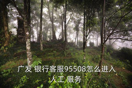  廣發(fā) 銀行客服95508怎么進入人工 服務(wù)
