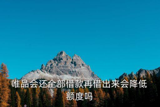 唯品金融借錢額度最高多少