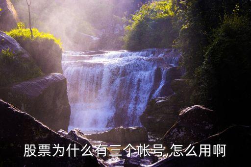 炒股賬號(hào)是多少,炒股可以開通幾個(gè)賬號(hào)