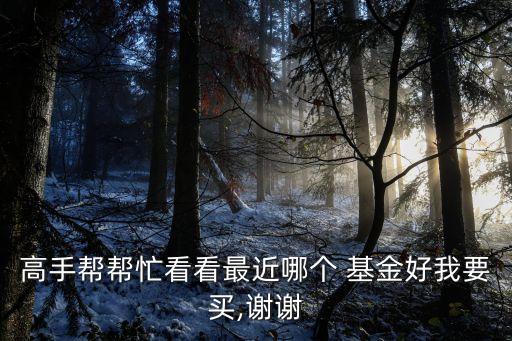 南穩(wěn)貳號基金凈值是多少,南穩(wěn)2號基金最高凈值
