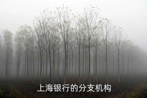  上海銀行的分支機(jī)構(gòu)