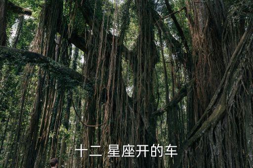同道大叔星座卡多少錢(qián)