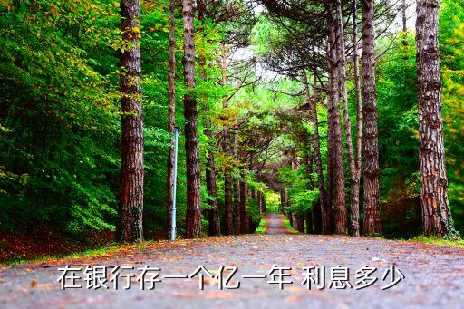 在銀行存一個(gè)億一年 利息多少