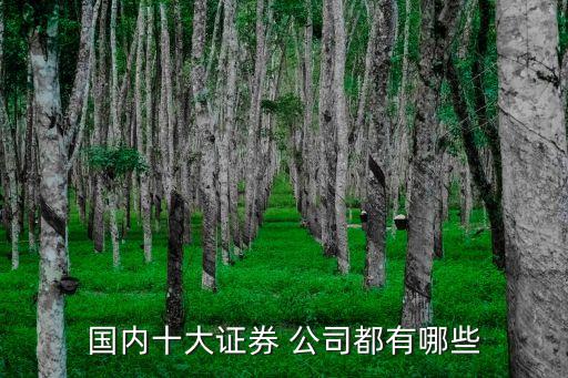 中國(guó)有多少個(gè)證卷公司