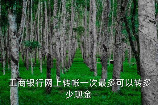  工商銀行網(wǎng)上轉(zhuǎn)帳一次最多可以轉(zhuǎn)多少現(xiàn)金