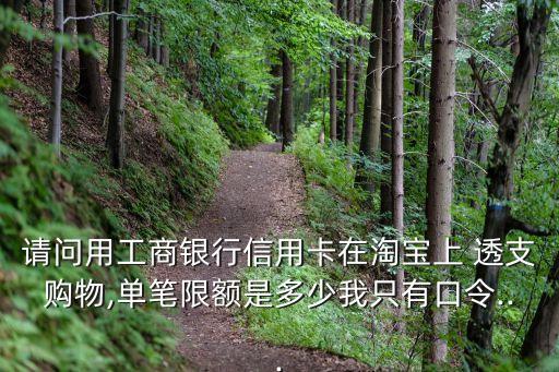 請問用工商銀行信用卡在淘寶上 透支購物,單筆限額是多少我只有口令...