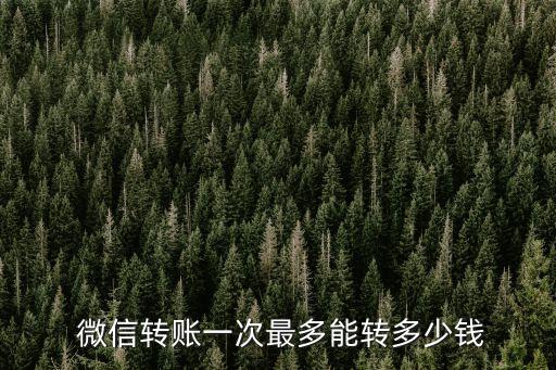  微信轉(zhuǎn)賬一次最多能轉(zhuǎn)多少錢