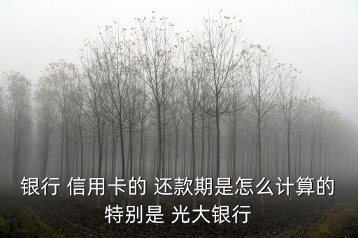 銀行 信用卡的 還款期是怎么計算的特別是 光大銀行