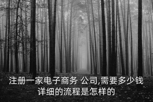 注冊一家電子商務(wù) 公司,需要多少錢詳細的流程是怎樣的