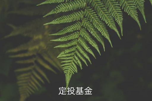 懶人投資的網(wǎng)址是多少,開懶人用品店投資多少