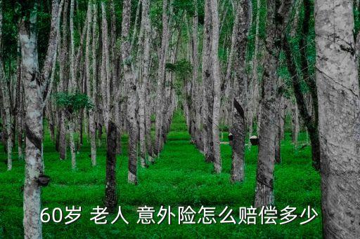 平安保險老人意外險多少錢,老人意外險多少錢一年