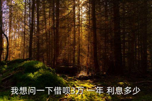 三萬一年利息多少,建設(shè)銀行貸款三萬一年利息多少