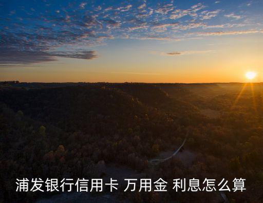 萬用金有利息是多少