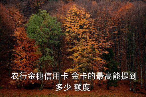 農(nóng)行金卡有多少額度嗎,農(nóng)行漂亮媽媽金卡最高額度