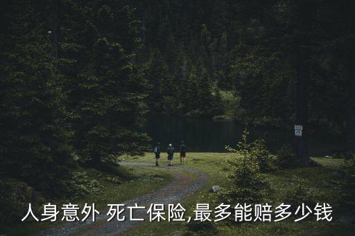 人身意外 死亡保險(xiǎn),最多能賠多少錢